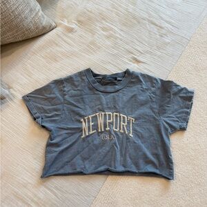 Brandy Melville Gray Newport Tee
